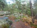 2012-10-11 17-27-51 Rando Fontainebleau-apres-midi FGn
